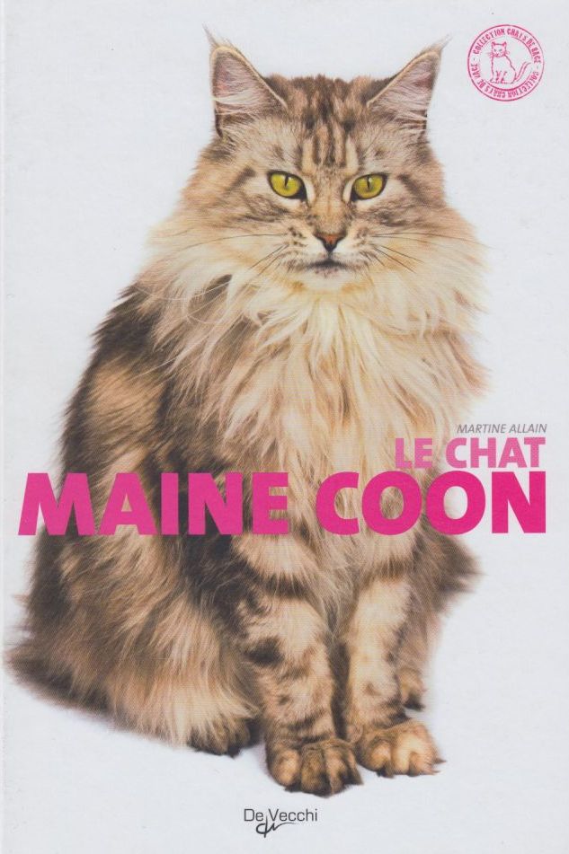 le chat main coon